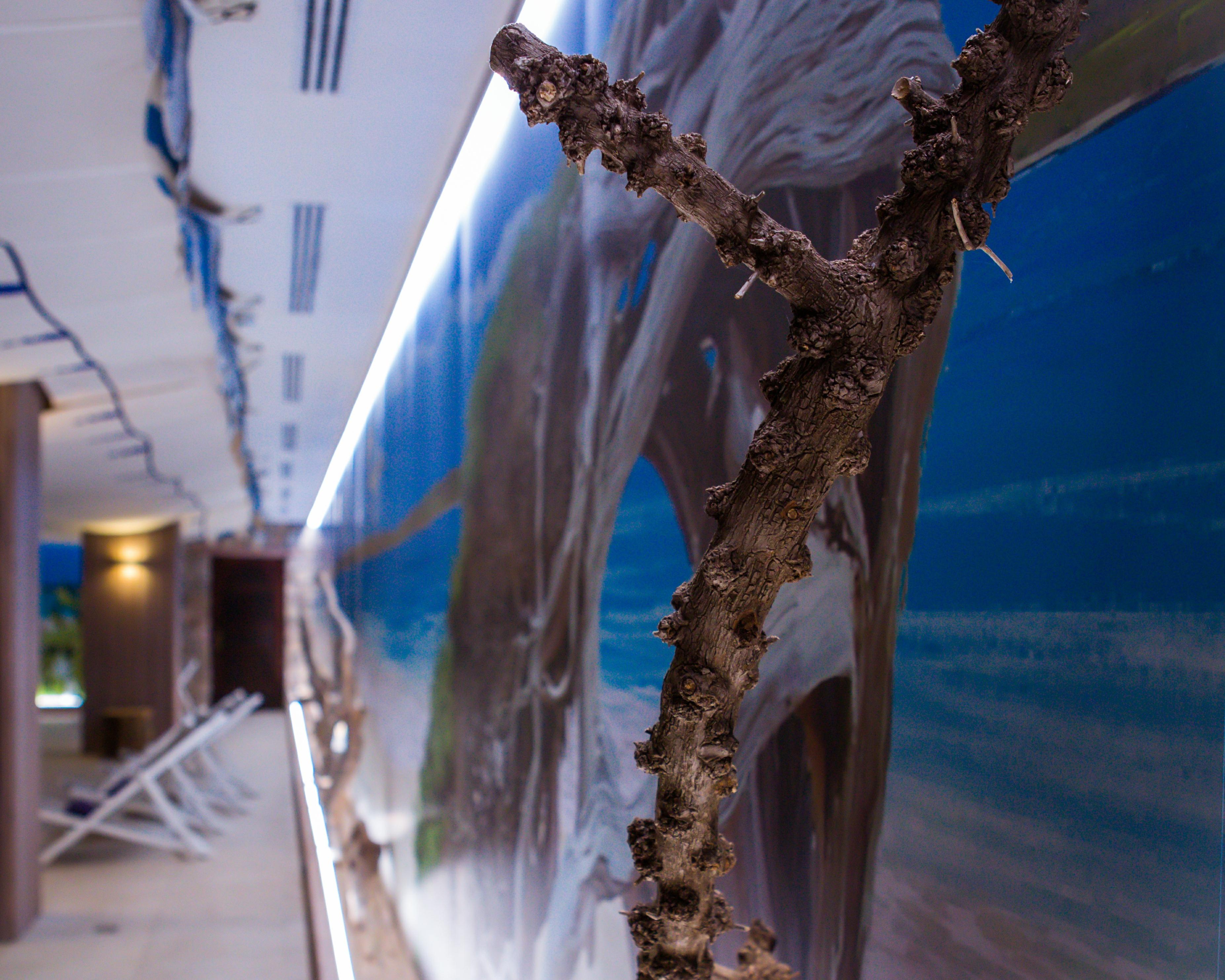 Hotel Bahia del Sol Santa Ponsa Exterior foto